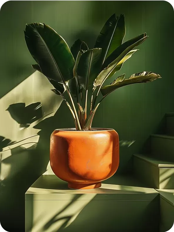 Vibrant pastel pink planter with tropical leaves on teal background
